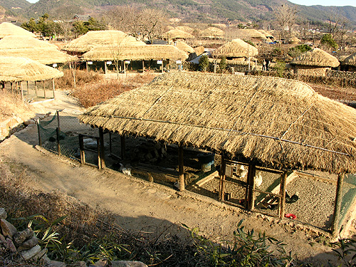 조류학습장은 단일장소로는 꽤 넓은 면적을 차지하고 있다 